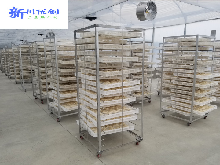 60c80e1a8583b.jpg 面條2.jpg