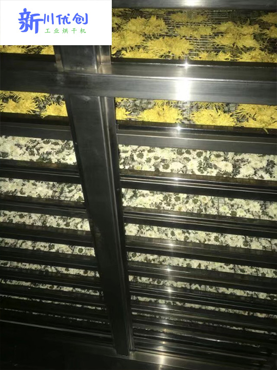 60c83c2290f56.jpg 菊花烘干1.jpg