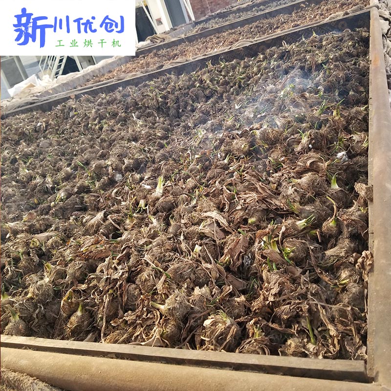 60e551fd40d99.jpg 6.jpg