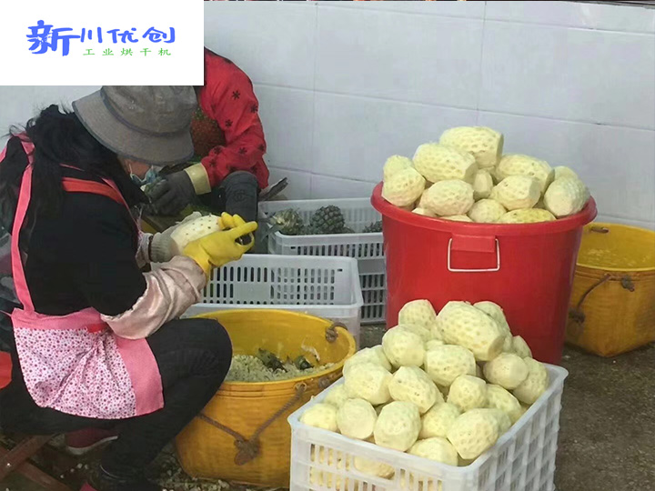 水果新吃法，飯后小零嘴——好吃不怕胖