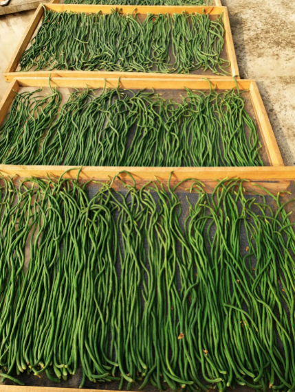 61259d6a98968.png 微信截圖_20210824164832.png