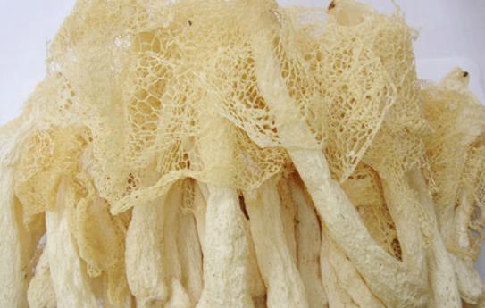 612ef37098968.jpg 竹蓀1.jpg