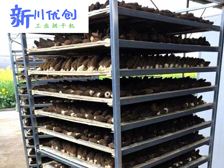 613024ac66ff3.jpg 44444.jpg