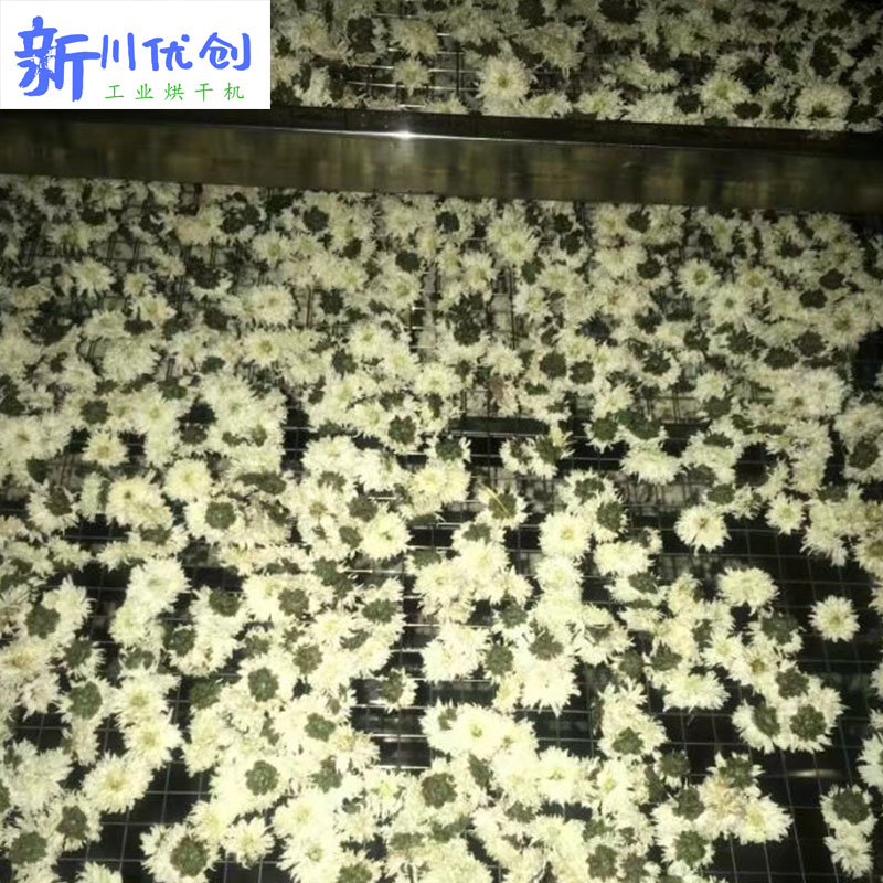 61302b8598968.jpg 菊花5.jpg