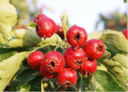 61302d4003d09.png image.png