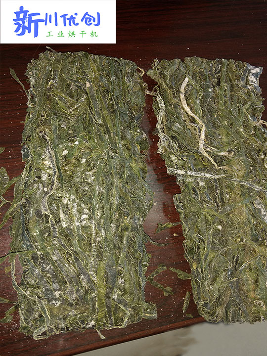 61303111487ab.jpg 海帶2.jpg