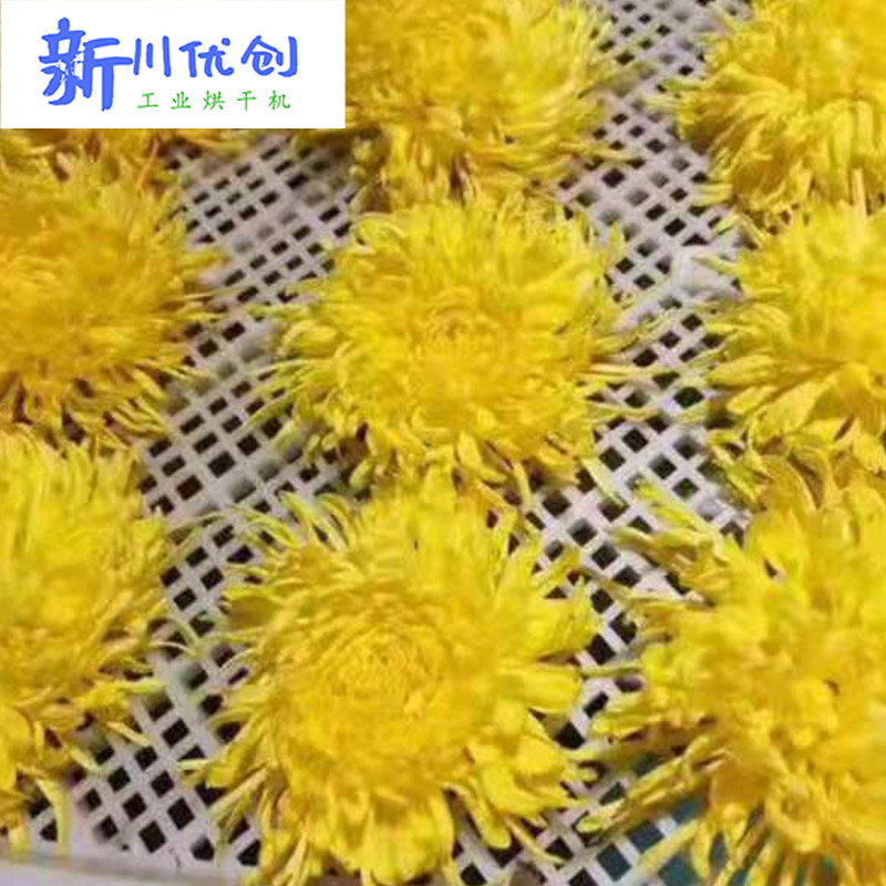 613853dd57bcf.jpg 菊花1.jpg