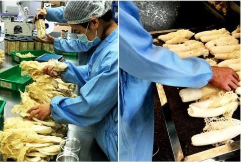 6139c383bebc2.jpg 7.jpg