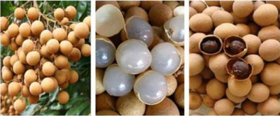 613ab19198968.png image.png