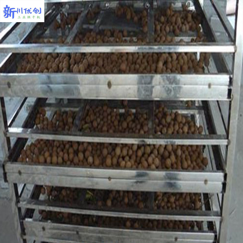 613ab1f922551.jpg 龍眼烘干2.jpg