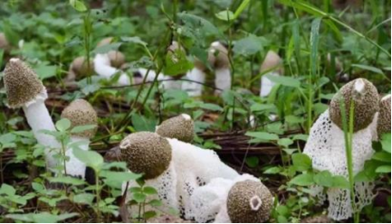 6141b76cb34a7.png image.png