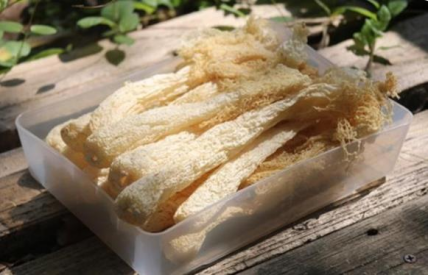 6141b7910b71b.png image.png