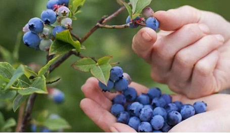 6143ebb9f0537.png image.png