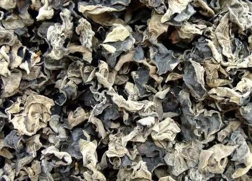 614541707270e.jpg 11.jpg