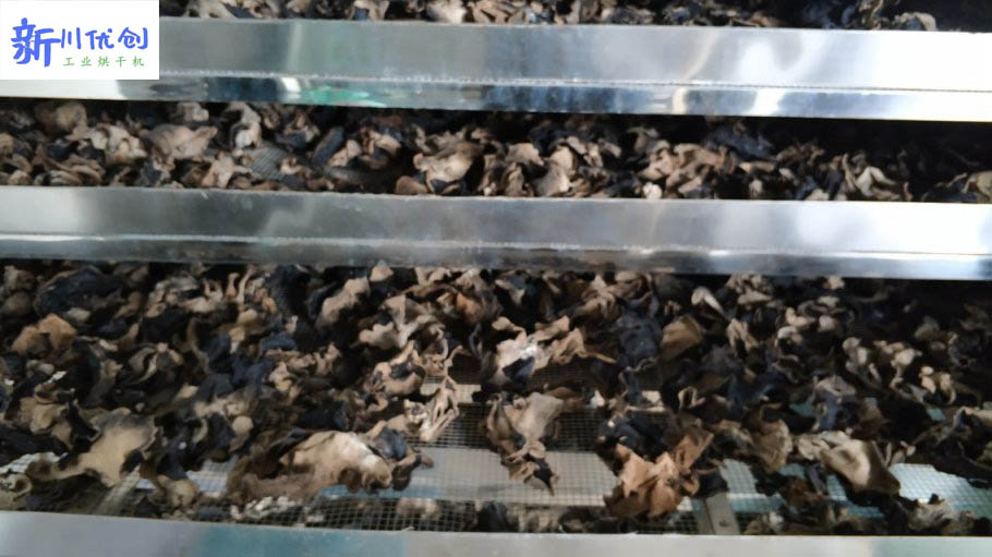 614542298583b.jpg 13.jpg