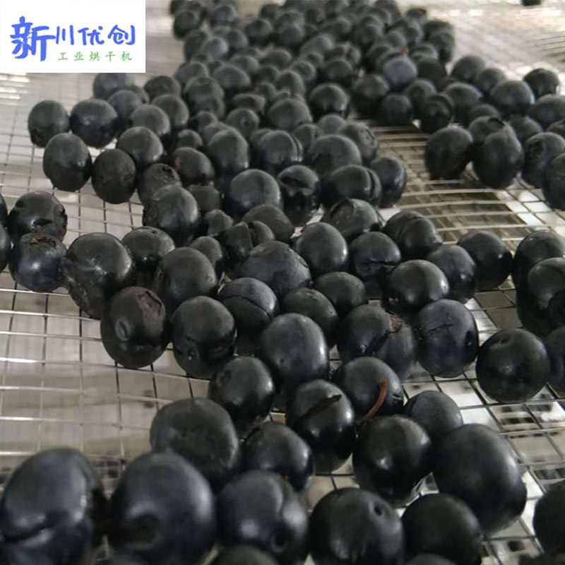 614a83e51ab3f.jpg 藍莓烘干1.jpg