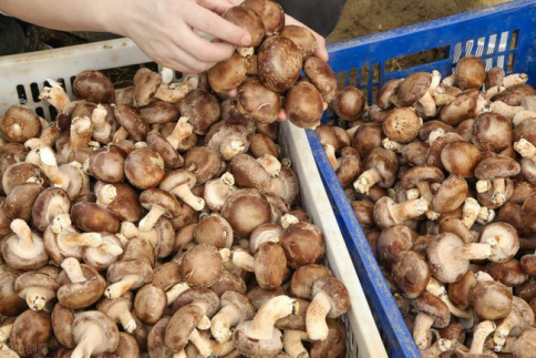 614a8528501bd.png image.png