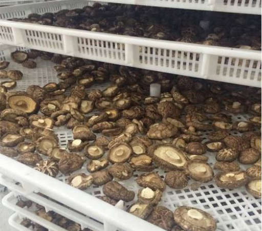 614a866dd9701.png image.png