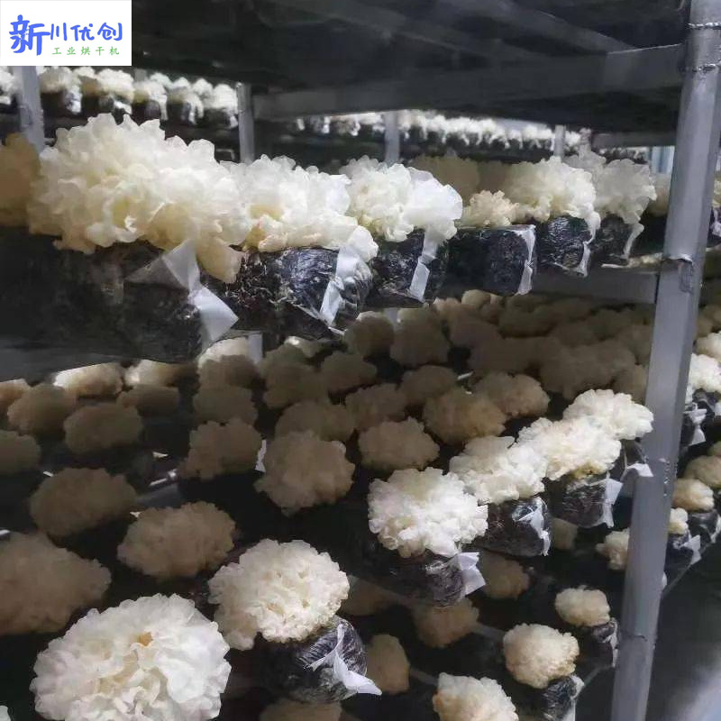 61512b195f4e7.jpg 銀耳烘干4.jpg