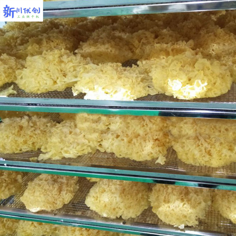 61512b557a026.jpg 銀耳烘干1.jpg