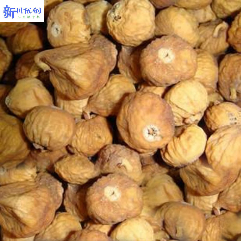 6167c1a276417.jpg 無(wú)花果.jpg