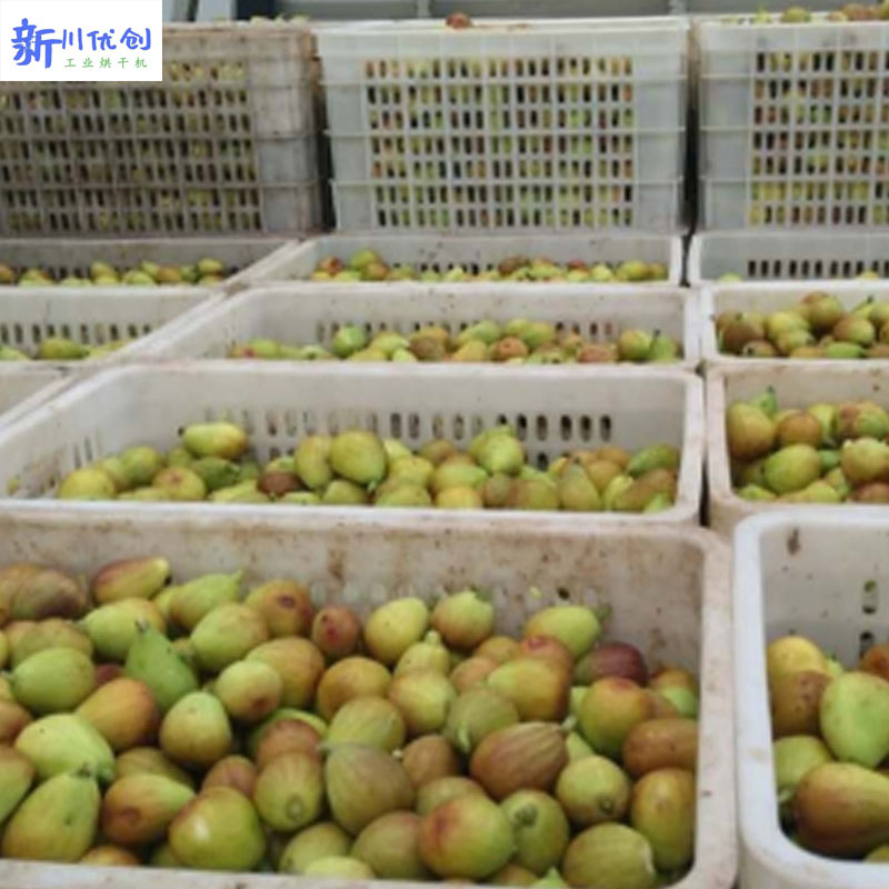 6167c45dca2dd.jpg 無(wú)花果2.jpg