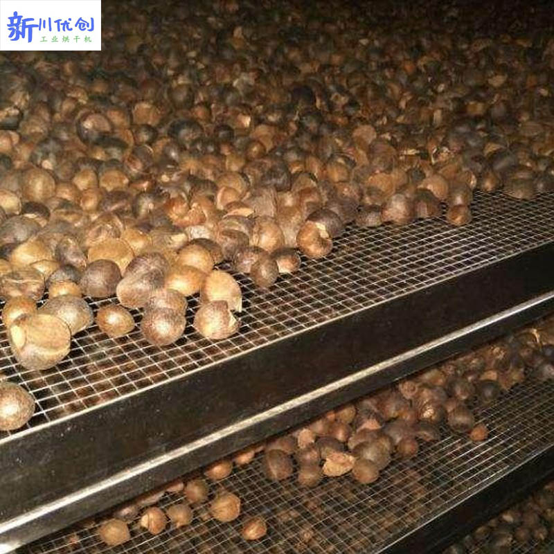 616d0aad2daf5.jpg 油茶籽.jpg