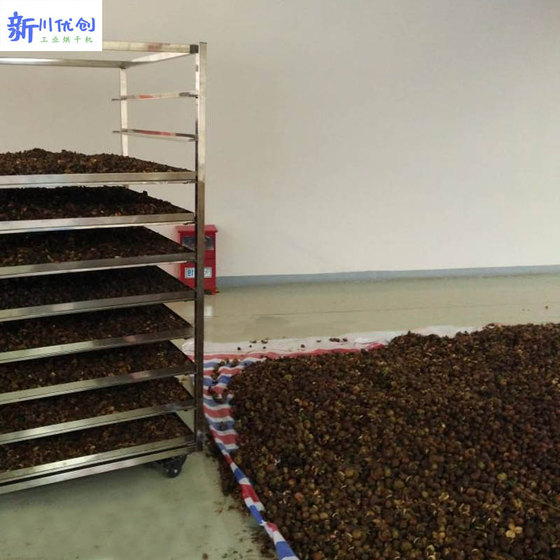 616d0ac463173.jpg 油茶籽烘干.jpg