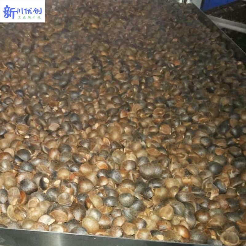 616d0af0d958a.jpg 油茶籽烘干房1.jpg