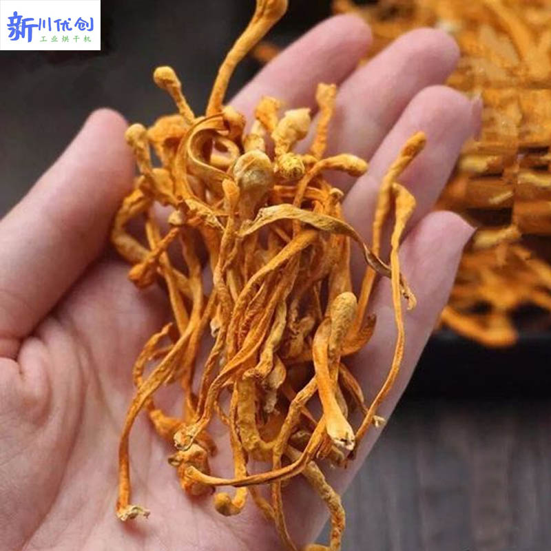 616f8d60632ea.jpg 蟲草花2.jpg