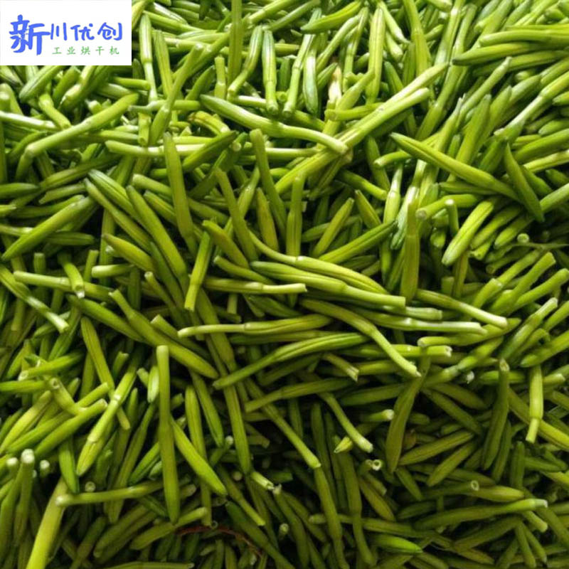 6188b9f157a58.jpg 黃花菜烘干.jpg