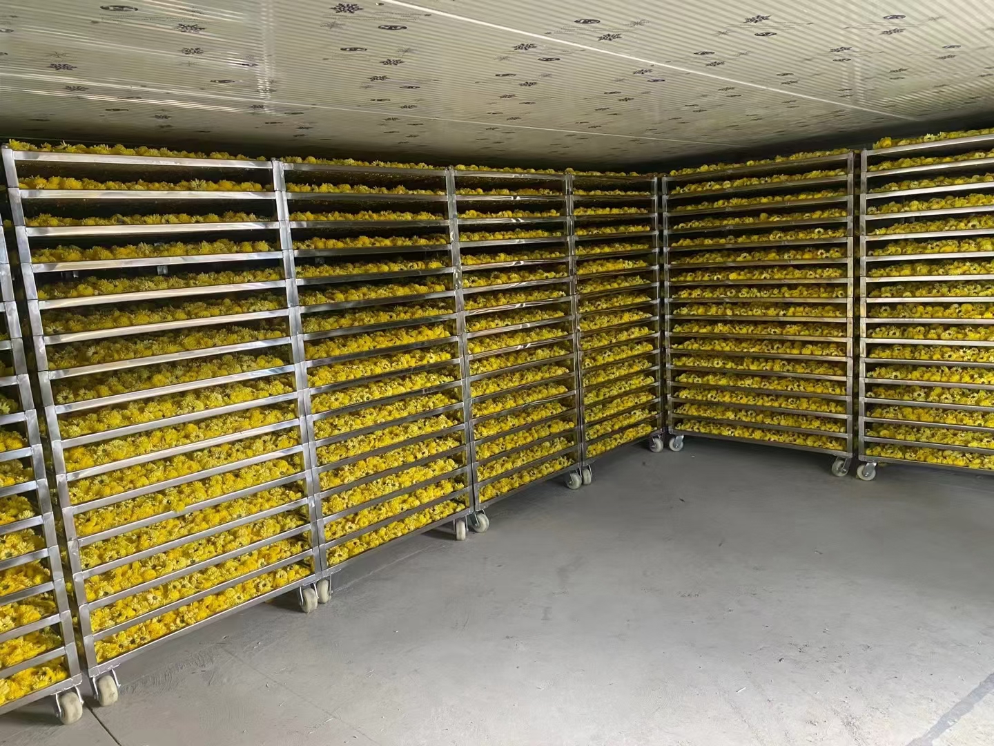 61a1c05a0f424.jpg 707704331731667706.jpg