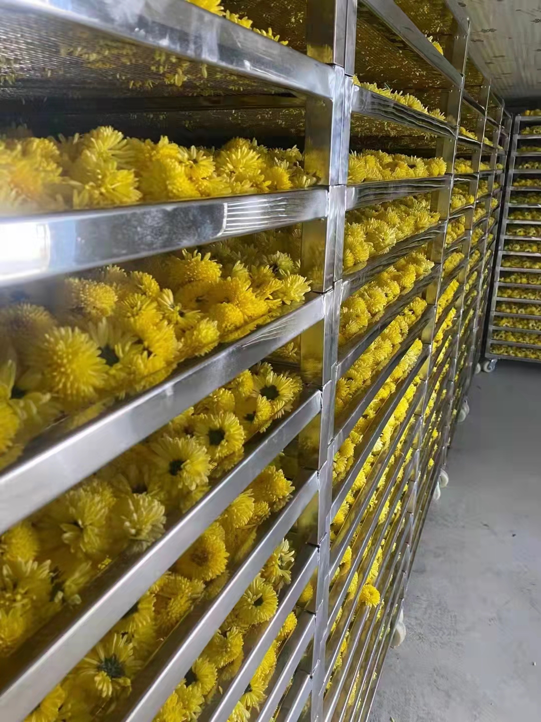 61a1c08b76417.jpg 324536375065046458.jpg