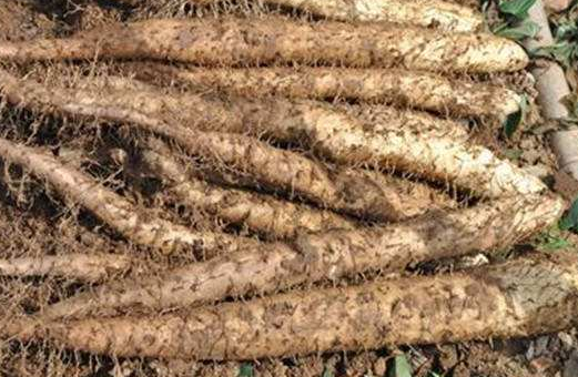 61ea5b4b3567e.png image.png