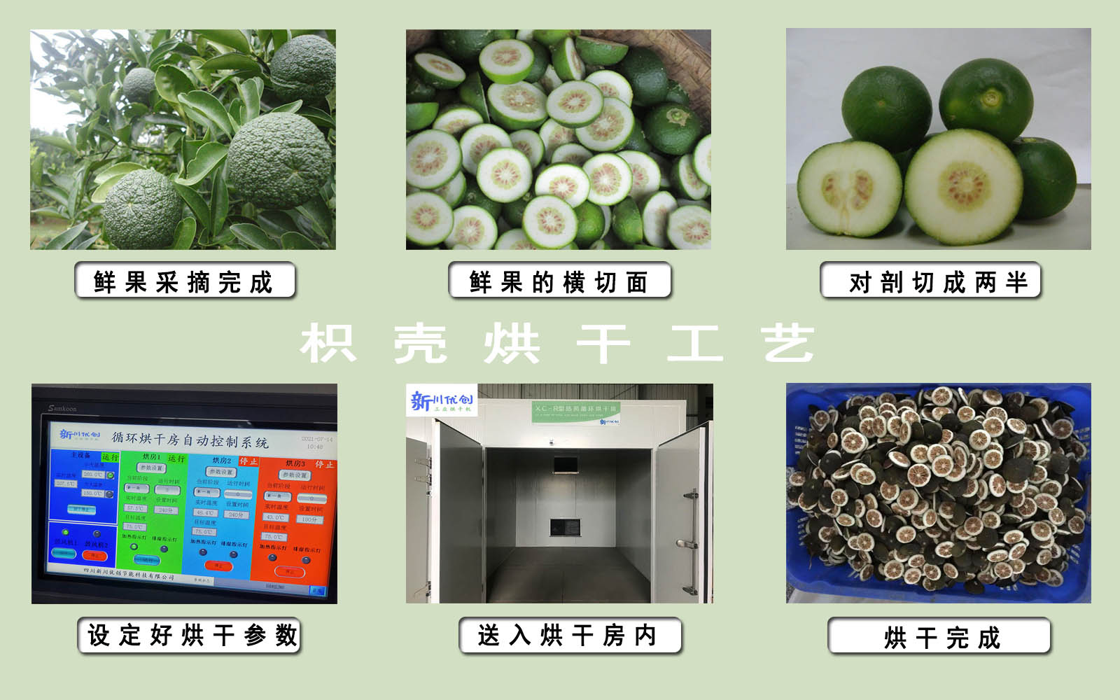 6212f6124ff4c.jpg 枳殼1.jpg