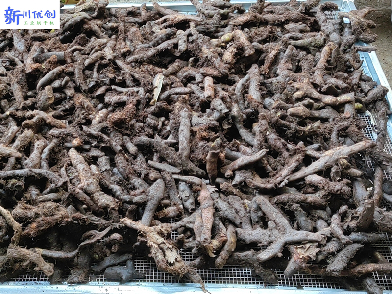 百部中藥材烘干-間接生物質(zhì)燃燒爐