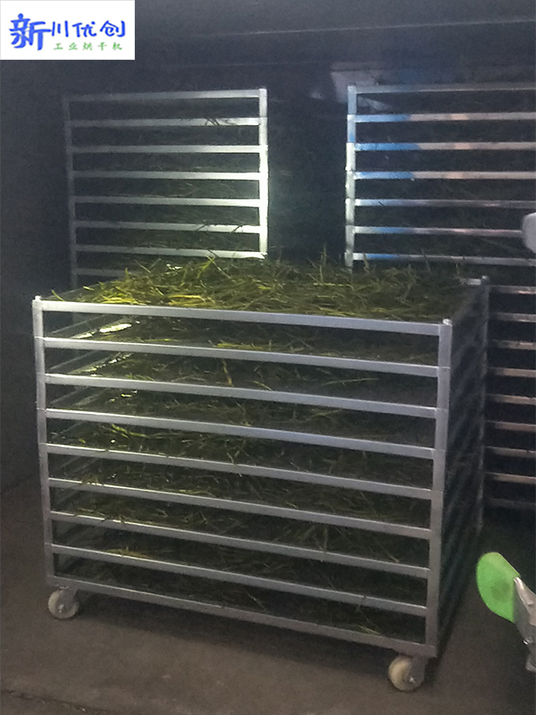 62329a5fe4e1c.jpg 石斛 (5).jpg