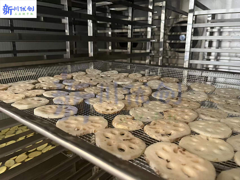 62739123583d1.jpg 蔬菜烘干機(jī).jpg