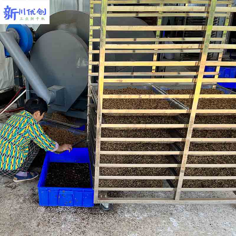 62abe4899c5f3.jpg 黑水虻烘干2.jpg