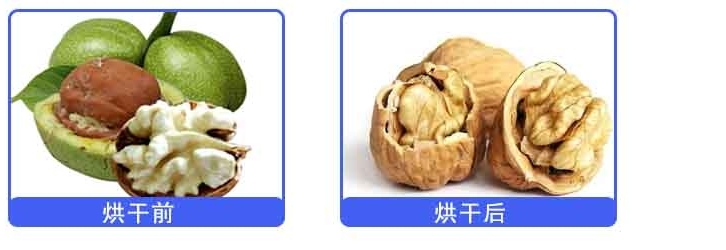 62e380eacbfe5.jpg 核桃烘干對比.jpg
