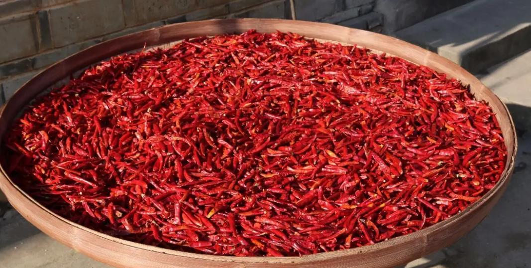 62ec9478ca72d.jpg 圖片3.jpg