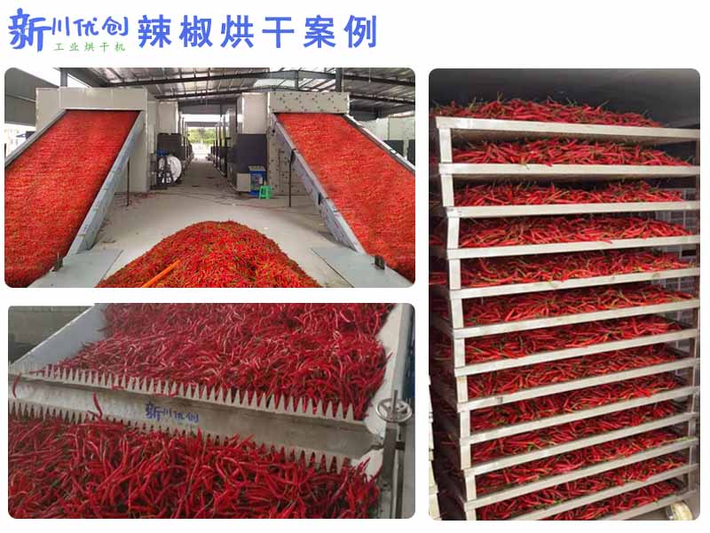 辣椒烘干設備-烘干設備怎么選