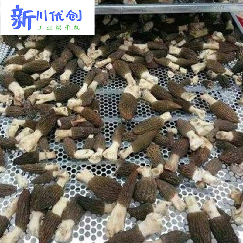 63ad34436841f.jpg 羊肚菌2.jpg