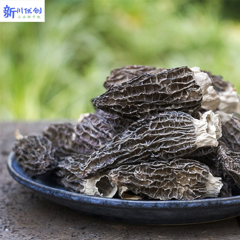 63ad347466082.jpg 羊肚菌2 (2).jpg