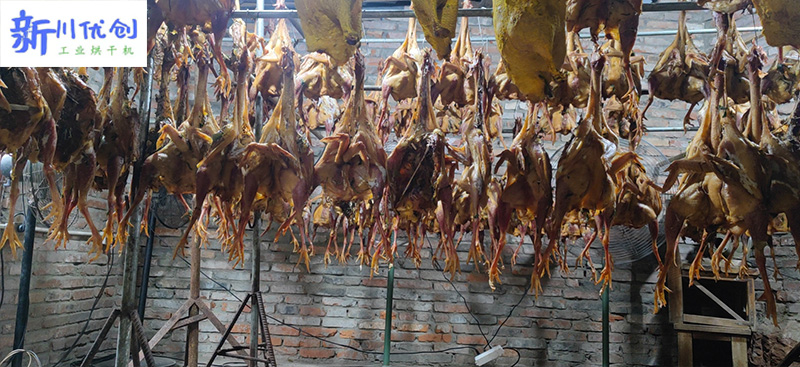 63dc725e2852e.jpg 1.jpg