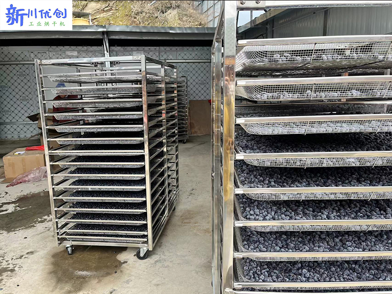 湖北客戶訂購我廠藍莓烘干房一套