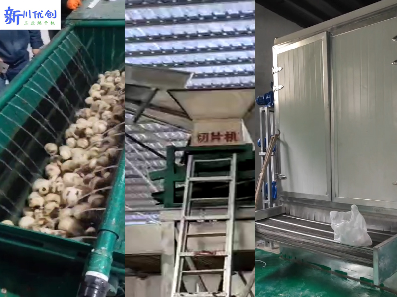 6402af39ea0bf.jpg 魔芋烘干1 (2).jpg