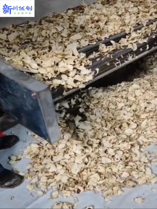 6402b024412c5.jpg 魔芋烘干1.jpg