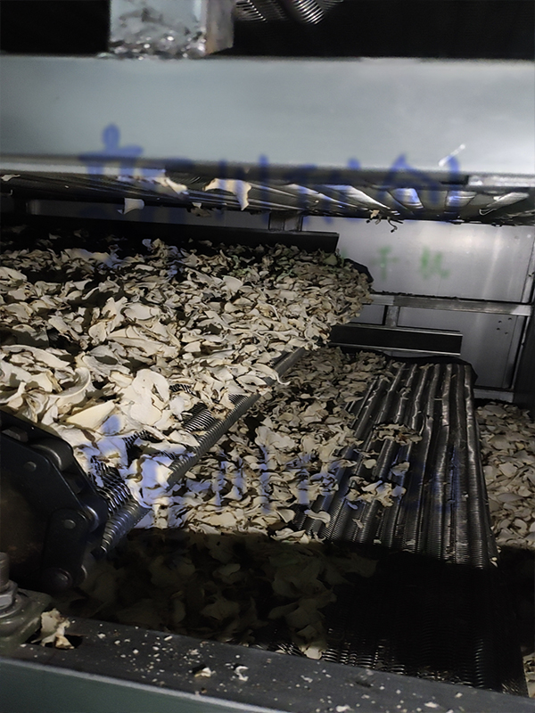 6402b1b08813b.jpg 魔芋2.jpg