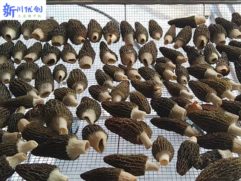 64056042e9d2f.jpg 羊肚菌烘干房2.jpg